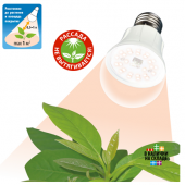 Светодиодные светильники и лампы для растений